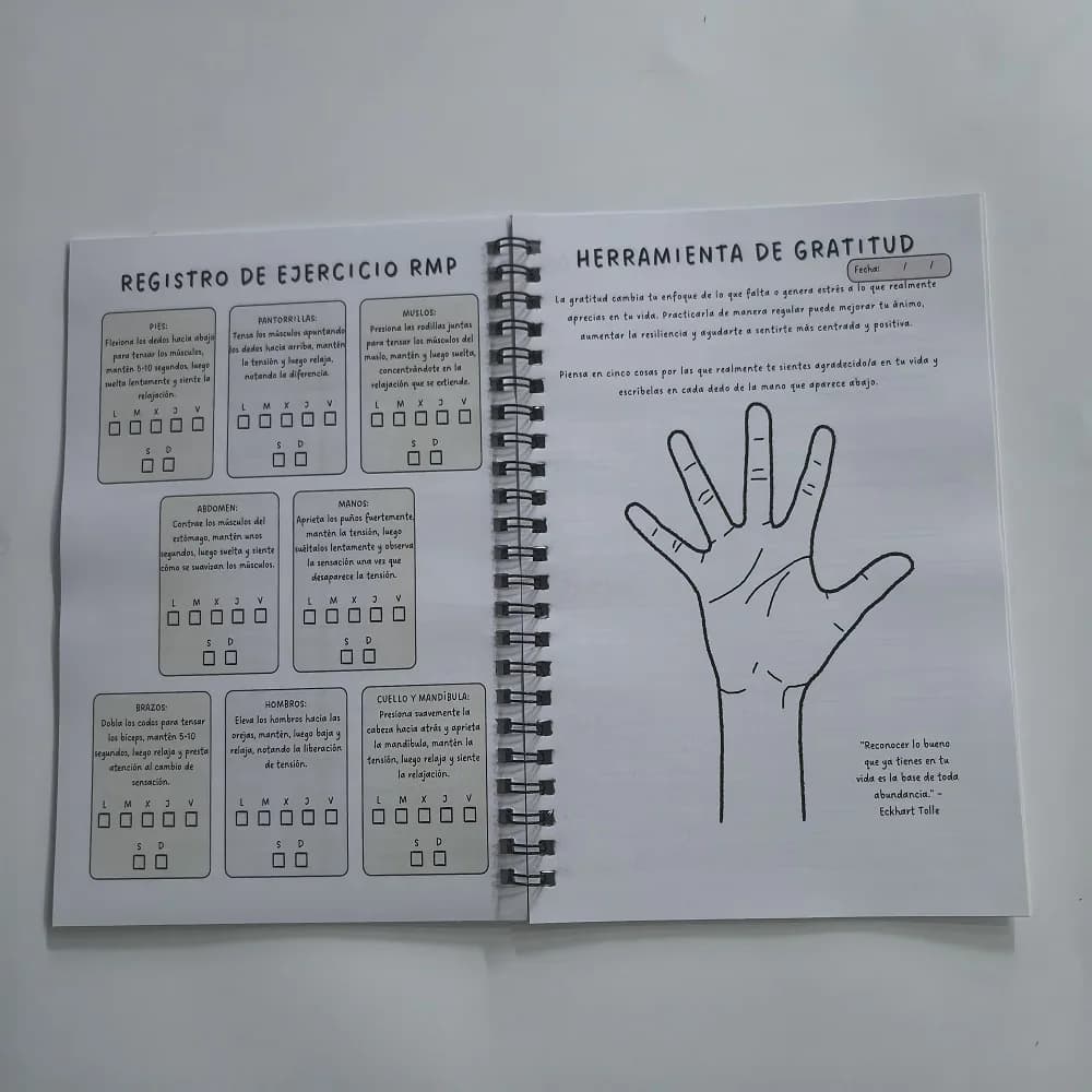ORDENA TU MENTE Journal de réflexion guidée, Cahier de travail sur la santé mentale en espagnol, Exercices de pleine conscience pour la réduction du stress, Livre d'autofaisceuillement