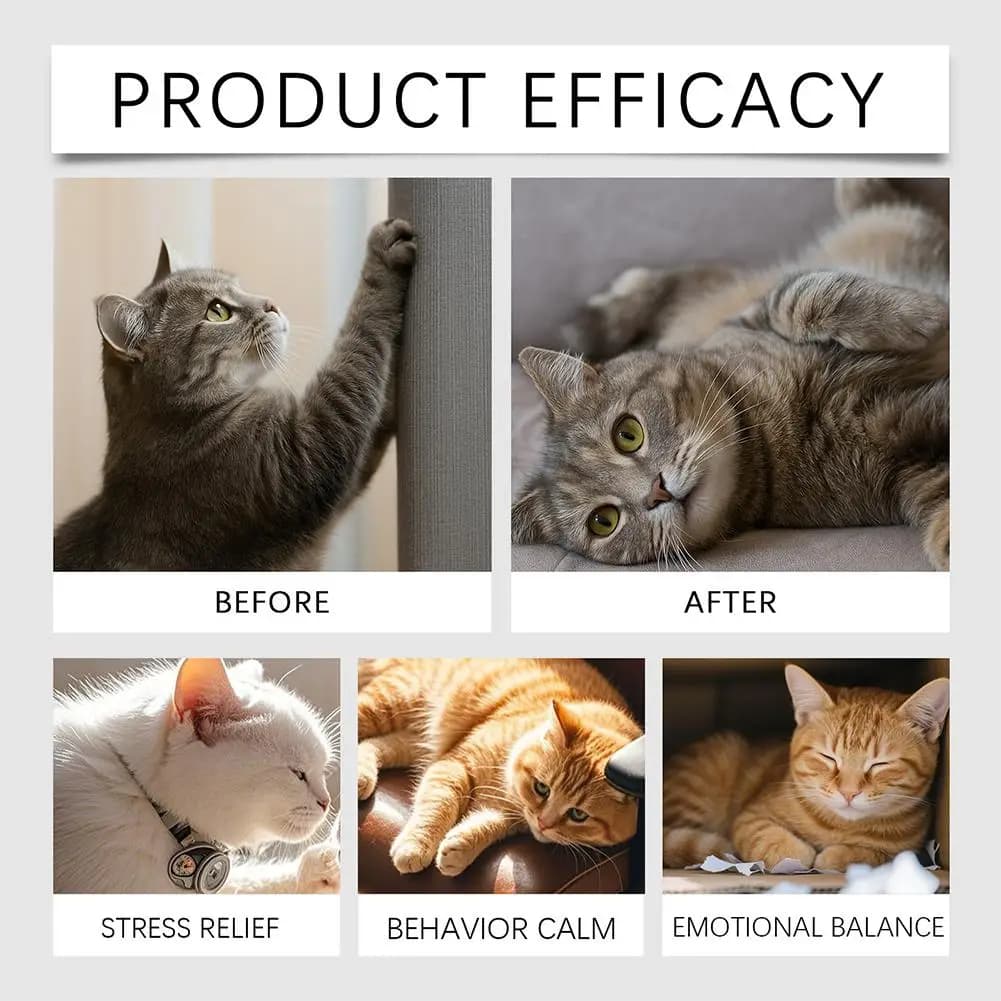 Diffuseur de phéromones apaisantes pour chat, à brancher, réduit le stress, la peur, l'anxiété de séparation, anti-comportement destructeur, fournitures relaxantes pour chat