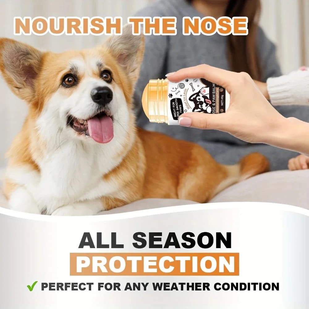 Baume pour pattes de chien - Sucette à museau Lick Safe - Stimulation hydratante