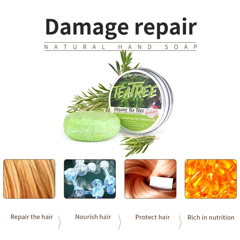 Le shampooing végétal à l'huile essentielle d'arbre à thé est rafraîchissant, contrôlant l'huile, réduisant les pellicules et fort pour les cheveux. Shampoing fait main wi