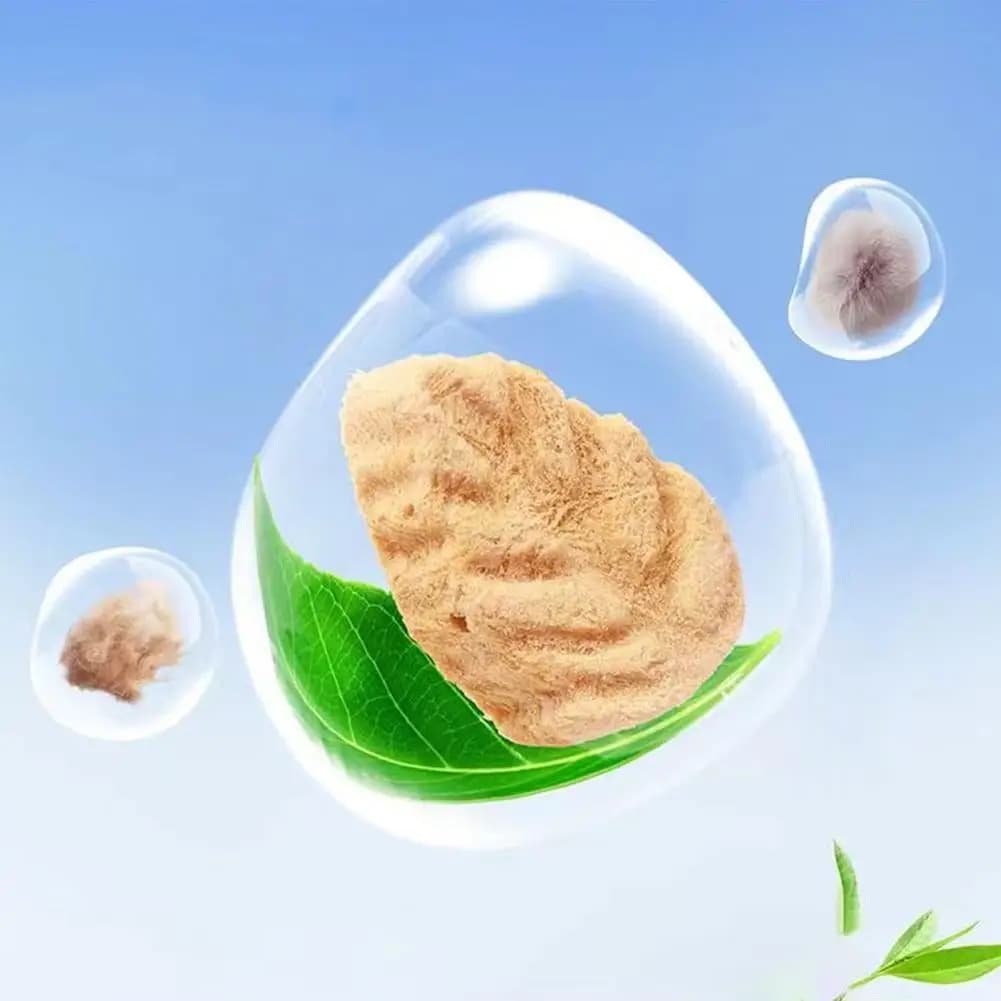 Filet d'Herbe de Chat avec 2 Vitamines et Huile de Poisson