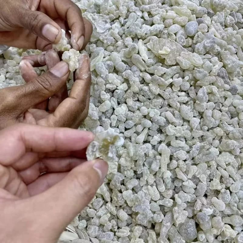 Résine d'encens Oman Hojari de qualité supérieure, grasse et aromatique pour la méditation, le sommeil profond, le parfum de la maison, l'encens de guérison spirituelle