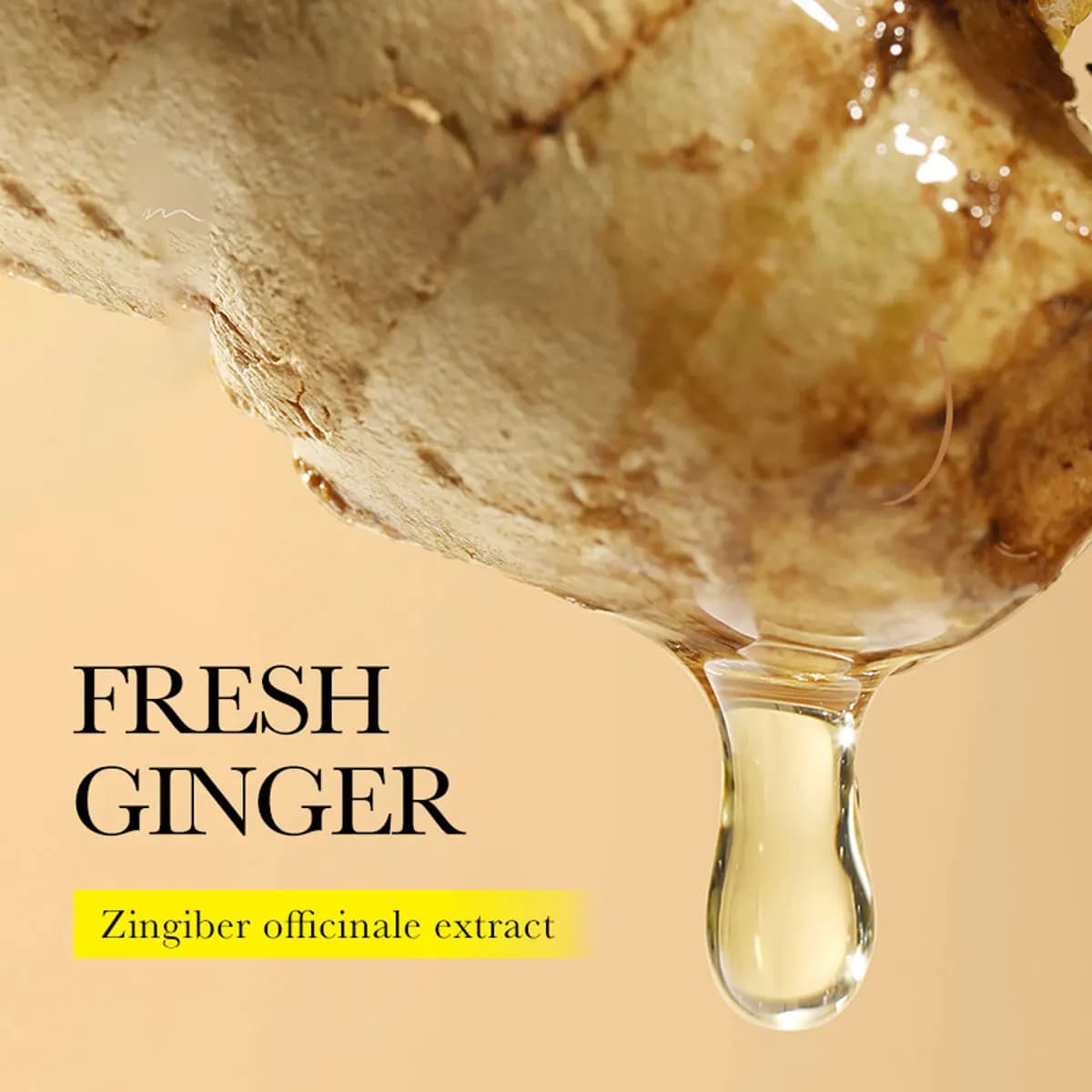 Savon shampooing aux huiles essentielles de gingembre Jojoba, savon de soin des cheveux, hydratant en profondeur, shampoing contrôlant l'huile moelleuse, savon solide