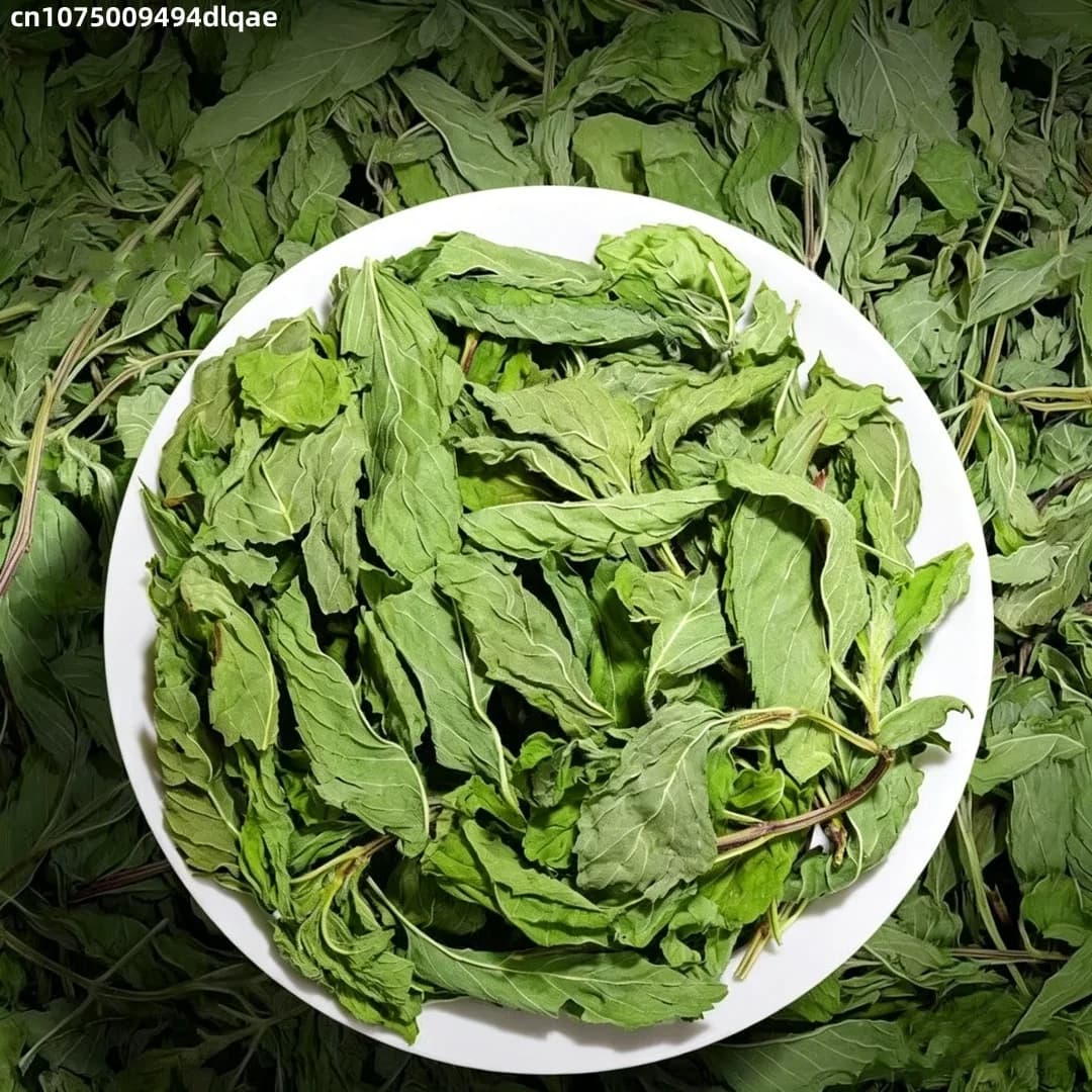 Feuilles de menthe naturelles séchées de haute qualité, poudre de menthe pour sachets, garniture pour bain de bouillotte, pot-pourri, décoration intérieure, fabrication de savons et de bougies