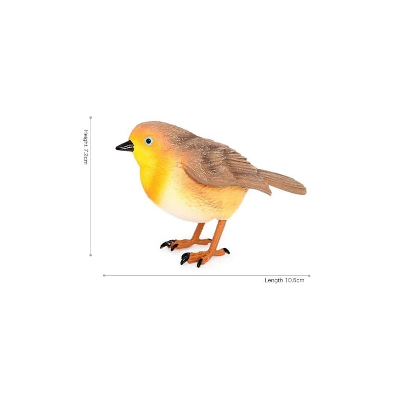 Modèle d'oiseau Robin simulé