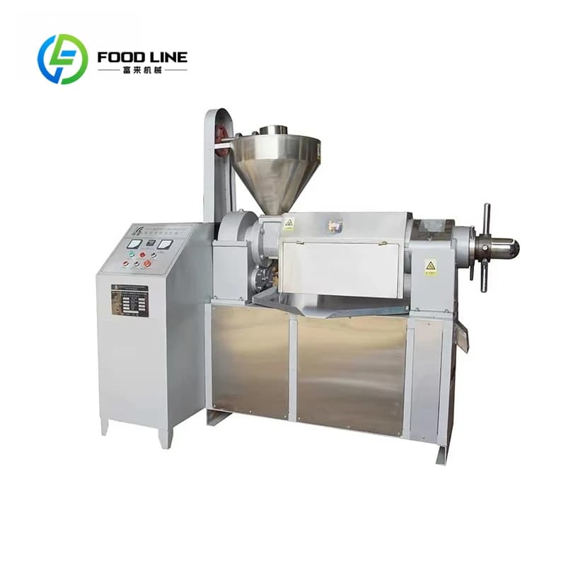 Presse à huile froide industrielle personnalisée, 500 KG/H, Olive, cacahuètes, tournesol, basilic, équipement de ligne de traitement Commercial