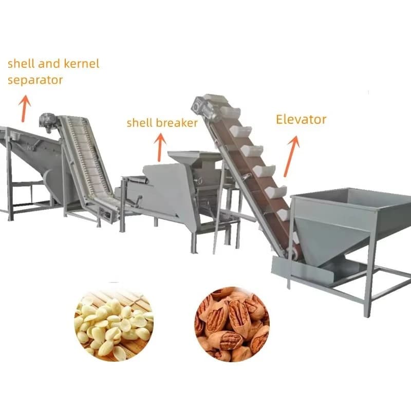 Usine de traitement de noix d'amande à haute efficacité, ligne de production de rôtissage, usine de traitement de noix pour la vente en gros