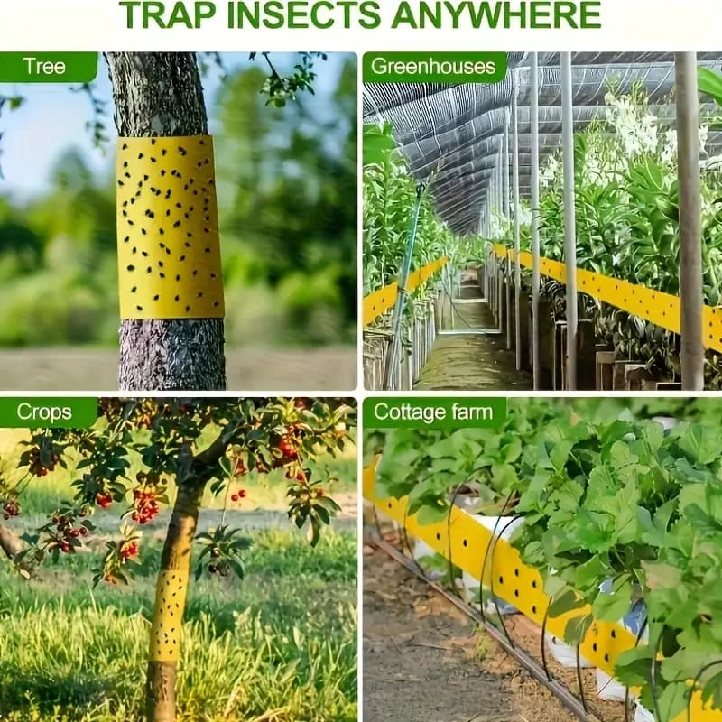 1 rouleau de ruban adhésif Double face pour barrière contre les insectes