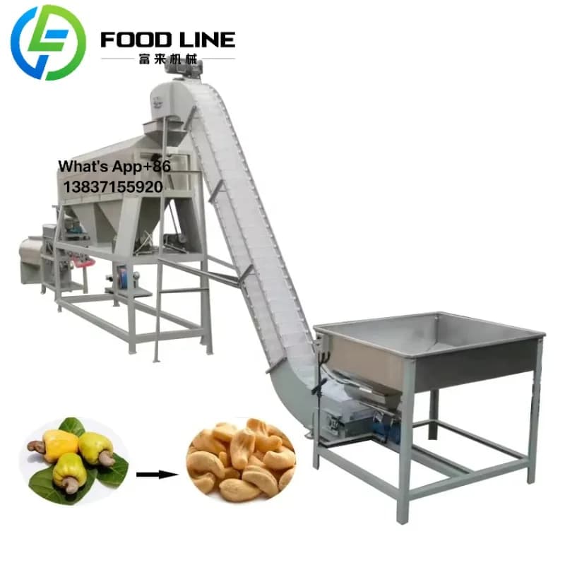 Ligne de décorticage de noix industrielle, usine de traitement complète pour cacahuètes de noix d'amande avec tri et fissuration automatiques