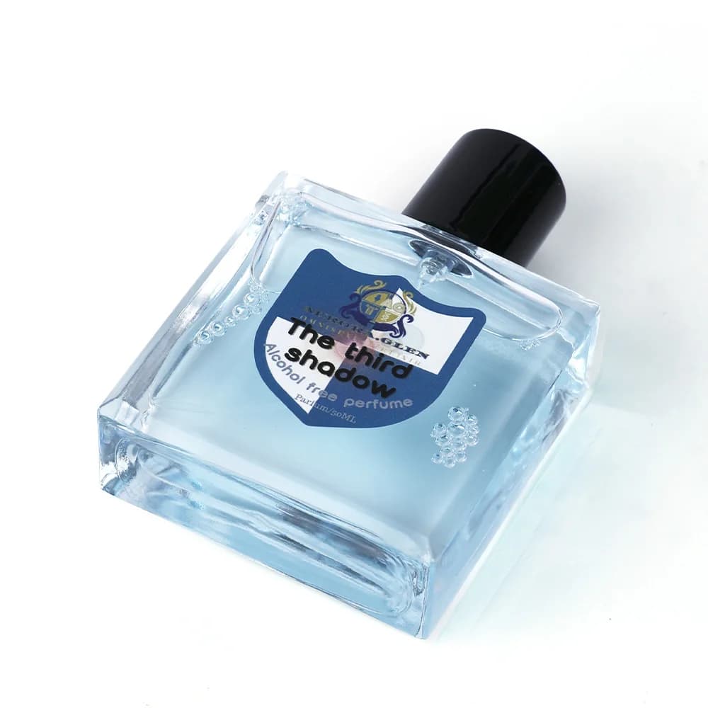 Parfum pour homme de marque originale, huile essentielle EDP 50 ml, parfum longue durée, parfum riche, notes boisées, sans alcool