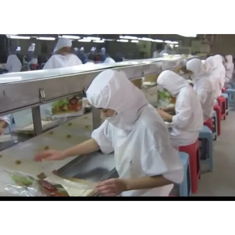 Machine à fabriquer du cuir de rouleau de ressort de grande capacité 2025 Somosa faisant la machine pour l'usine alimentaire