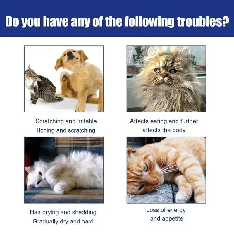 Gouttes anti-puces pour chiens et chats, insecticide 100ml, spray anti-puces et poux, formule concentrée anti-puces et tiques, anti-puces pour animaux de compagnie