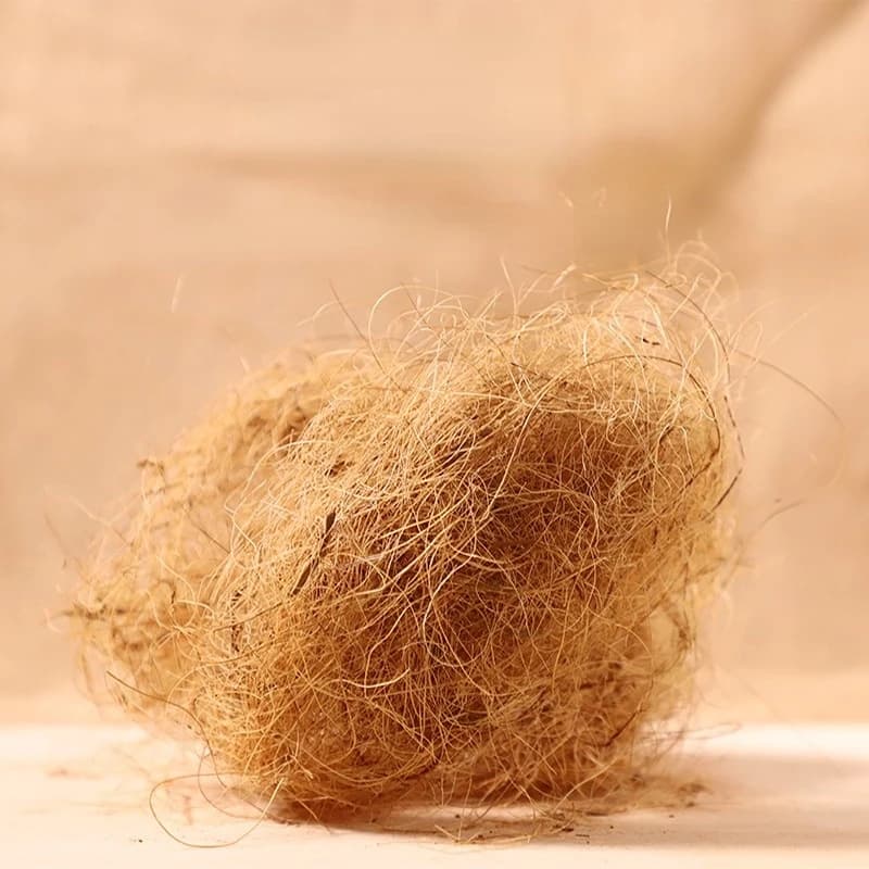 100g Matériau de Nidification en Fibre de Coco / Fibre pour Nids d'Oiseaux d'Aviculture, Canaris, Pinsons, Remplissage de Nids en Herbe, Accessoires pour Cages à Oiseaux