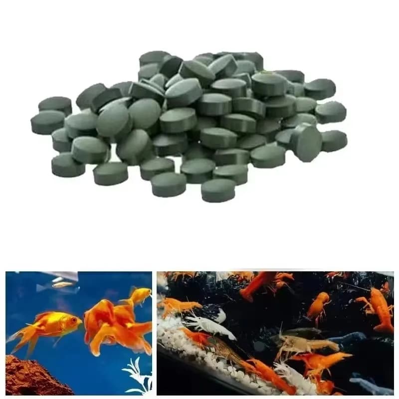 100-3000 comprimés de spiruline de haute pureté, riches en spiruline. Nourriture pour poissons préférée des animaux de compagnie, nourriture pour crevettes et poissons, aquarium