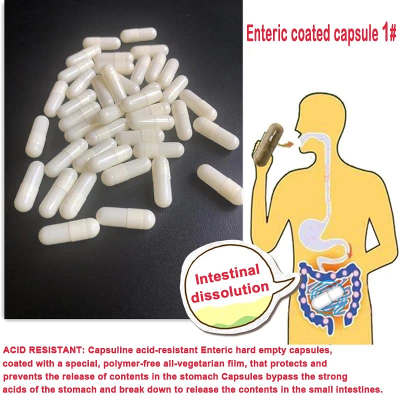 Capsule à revêtement entérique 1000 pièces Taille 1 #   Capsule de gélatine dure vide blanc vide, Capsules jointes Gel médecine pilule creuse