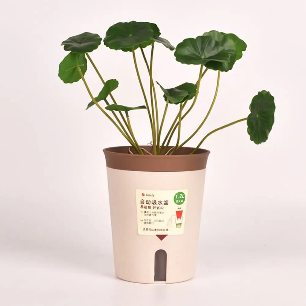 Pot de fleur hydroponique paresseux, Pot de fleurs absorbant l'eau, plante succulente en plastique, jardinière auto-arrosage, décor de salon et de bureau