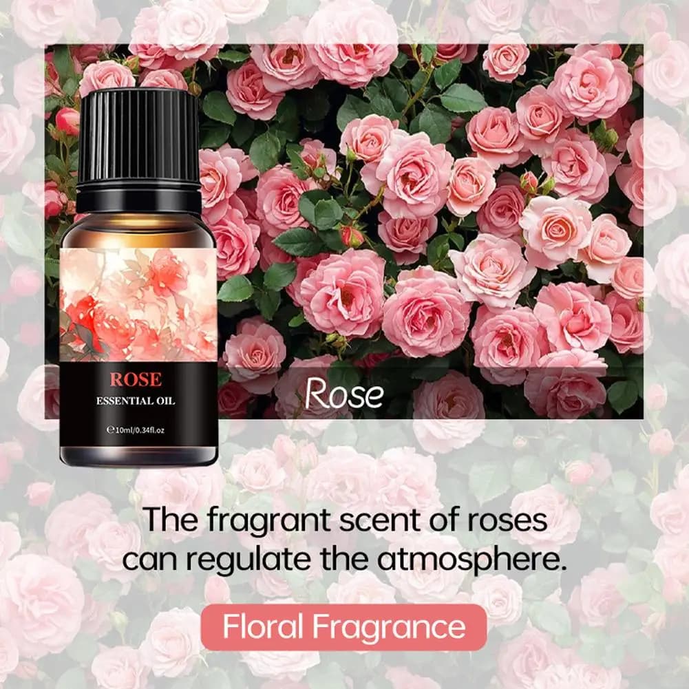 15 Huiles Essentielles Aromatiques pour Diffuseur d'Arômes et Humidificateur d'Air