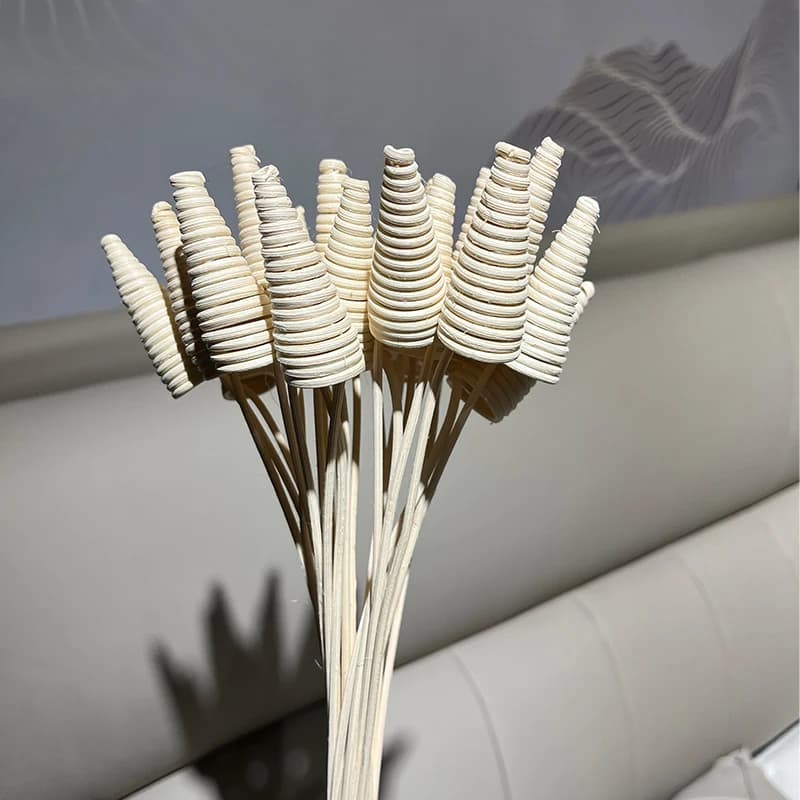 Bâtons d'aromathérapie en rotin bouclé, bâtons de diffuseur de roseau, parfum à la maison, huile volatile, accessoires les plus récents, 10 pièces, 25cm
