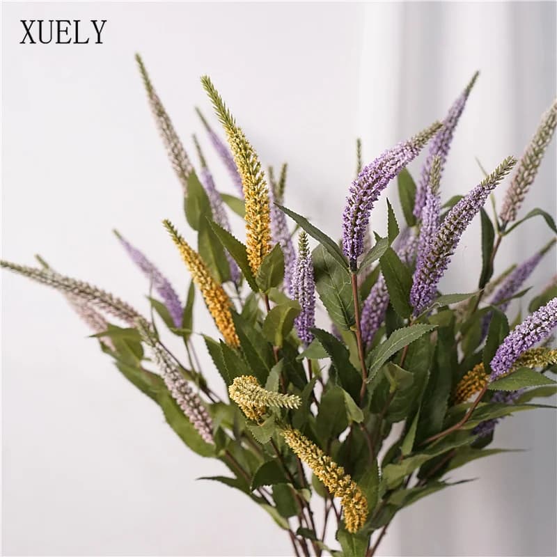 Plantes de Sauge et Lavande