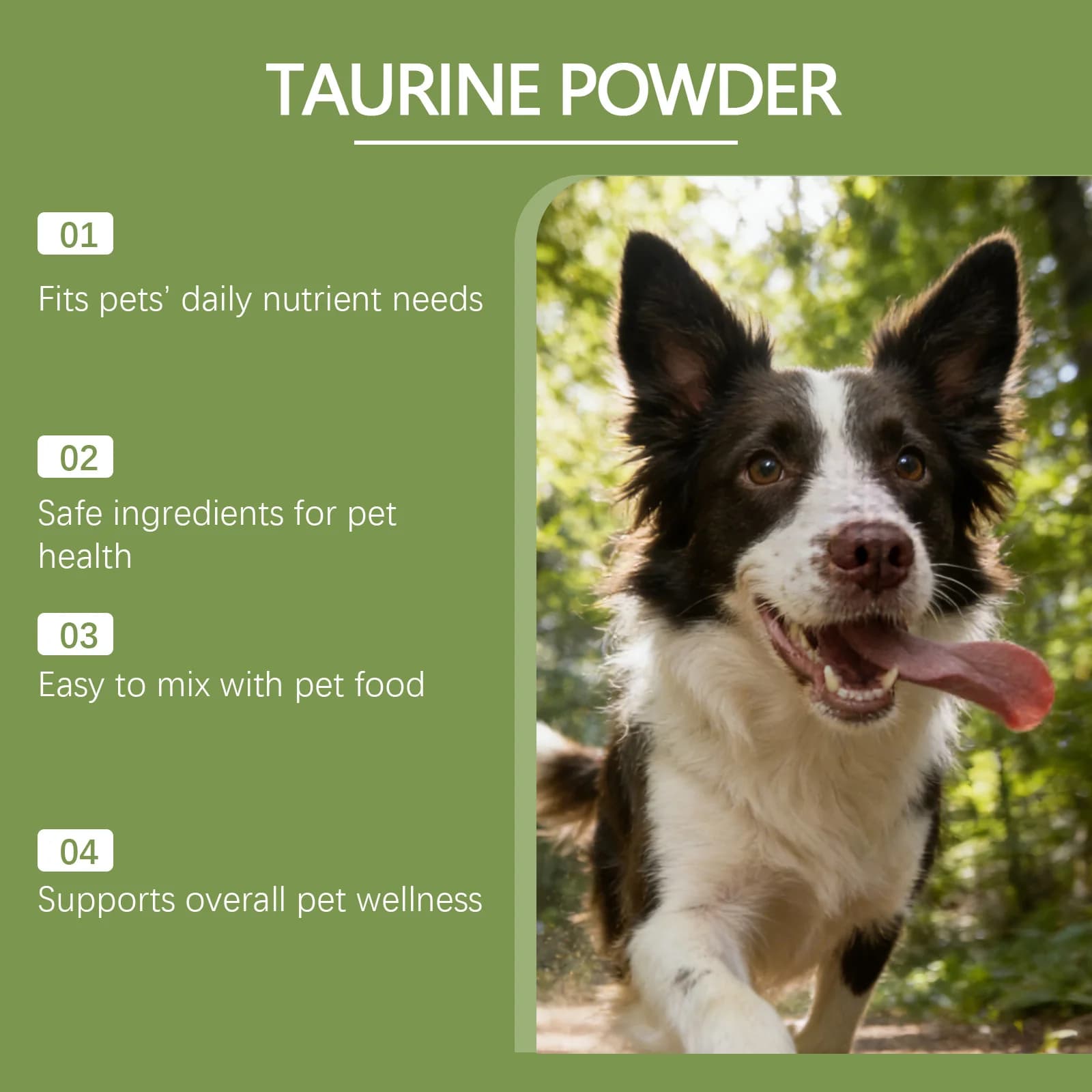 Poudre de Taurine pour Chiens Facile à Mélanger Soutient la Santé Cognitive Améliore la Luminosité du Pelage Améliore la Santé Cardiaque Suppléments Nutritionnels pour Animaux de Compagnie
