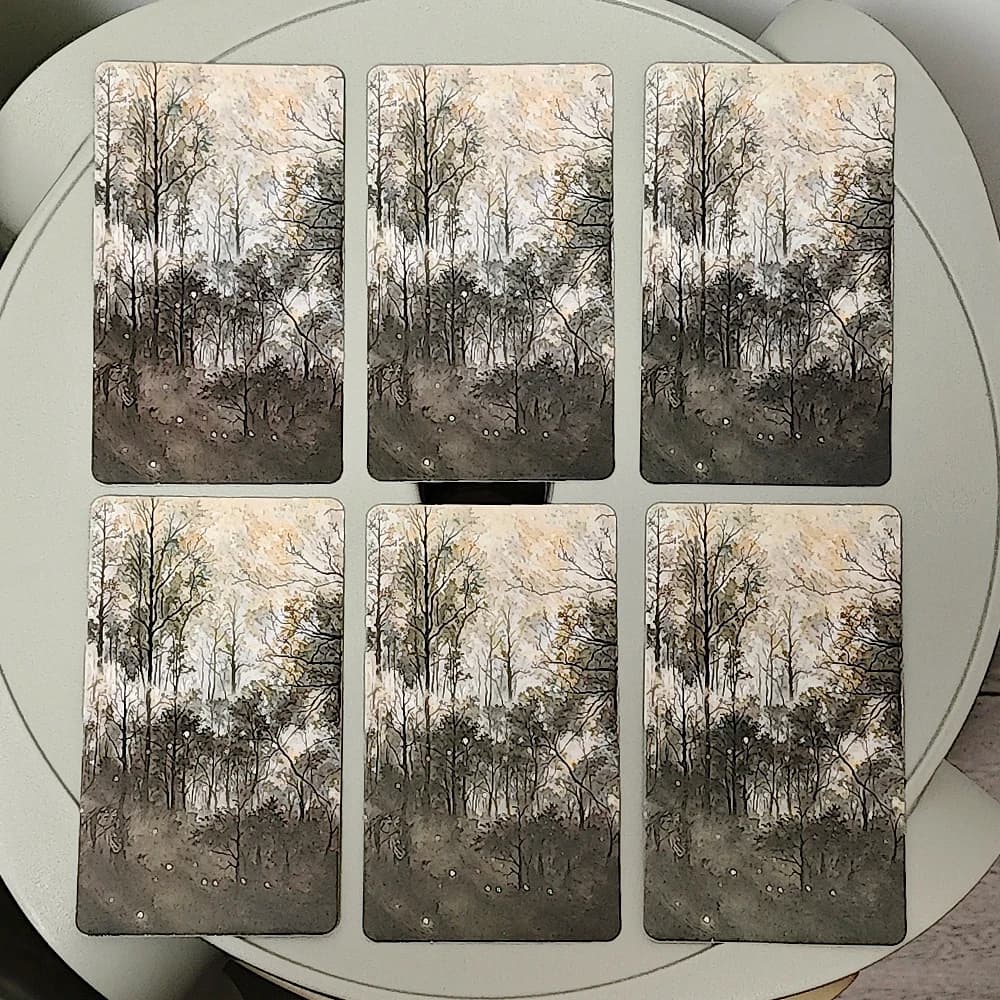 Jeu de Tarot Shadow Fates, 78 cartes sombres 10.3x6cm raide dans le folklore, le mythe et la sagesse de l'ombre-langue russe