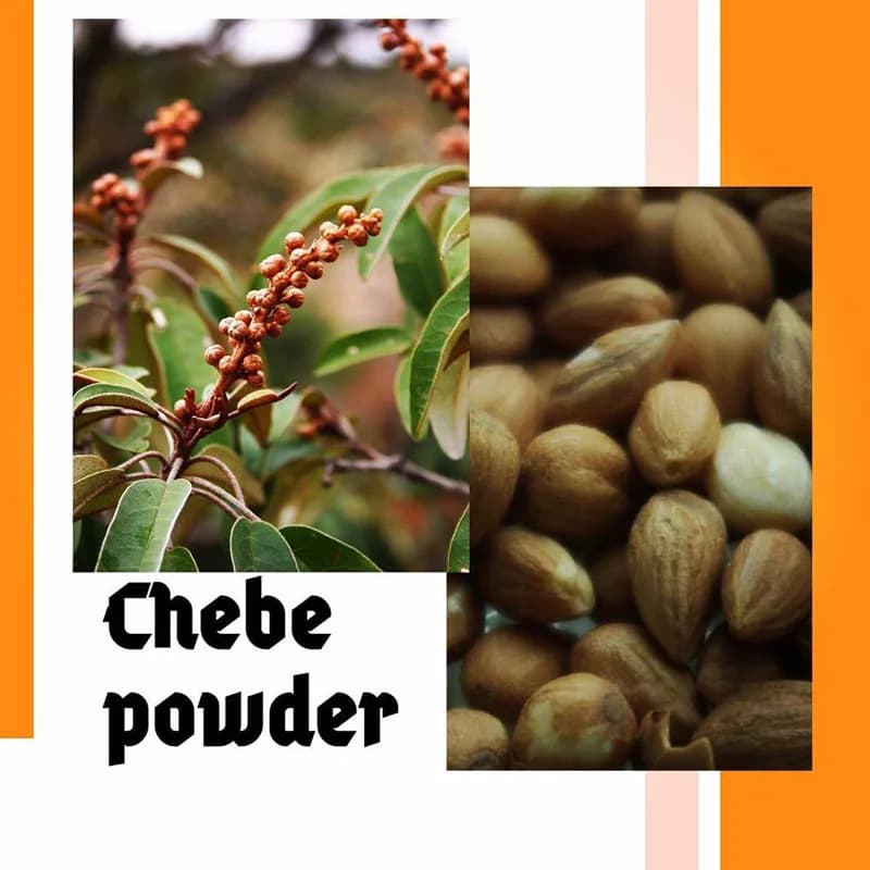 Je suis toujours choqué! Huile de croissance folle avec Chadian Croton Gratissimus lavande d'africaine du nord, romarin, clous de girofle marocains huile chaude