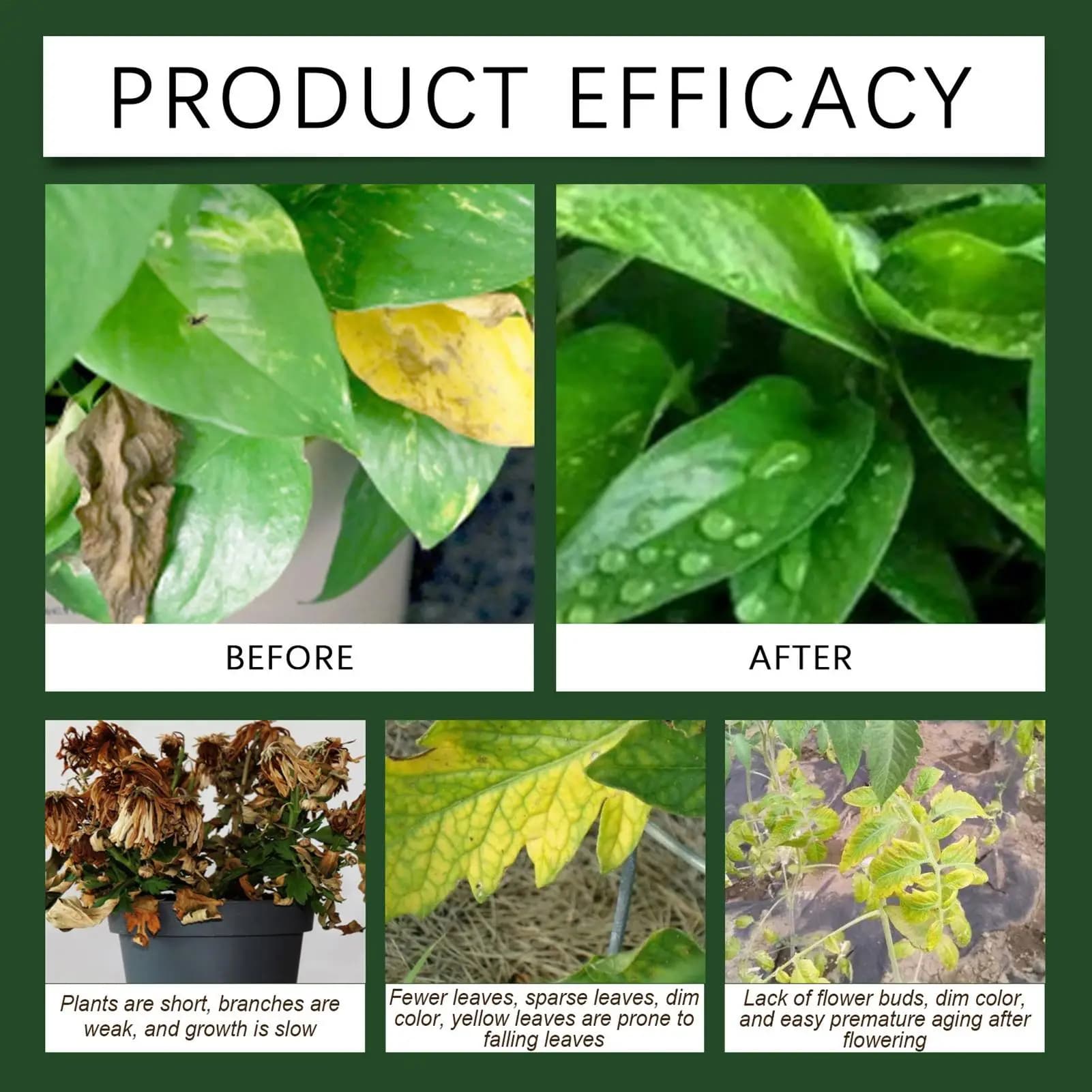 Poudre d'engrais pour plantes, 100g, pour la croissance des plantes, nutritif, supplément d'enracinement sûr et efficace pour la culture hydroponique du sol