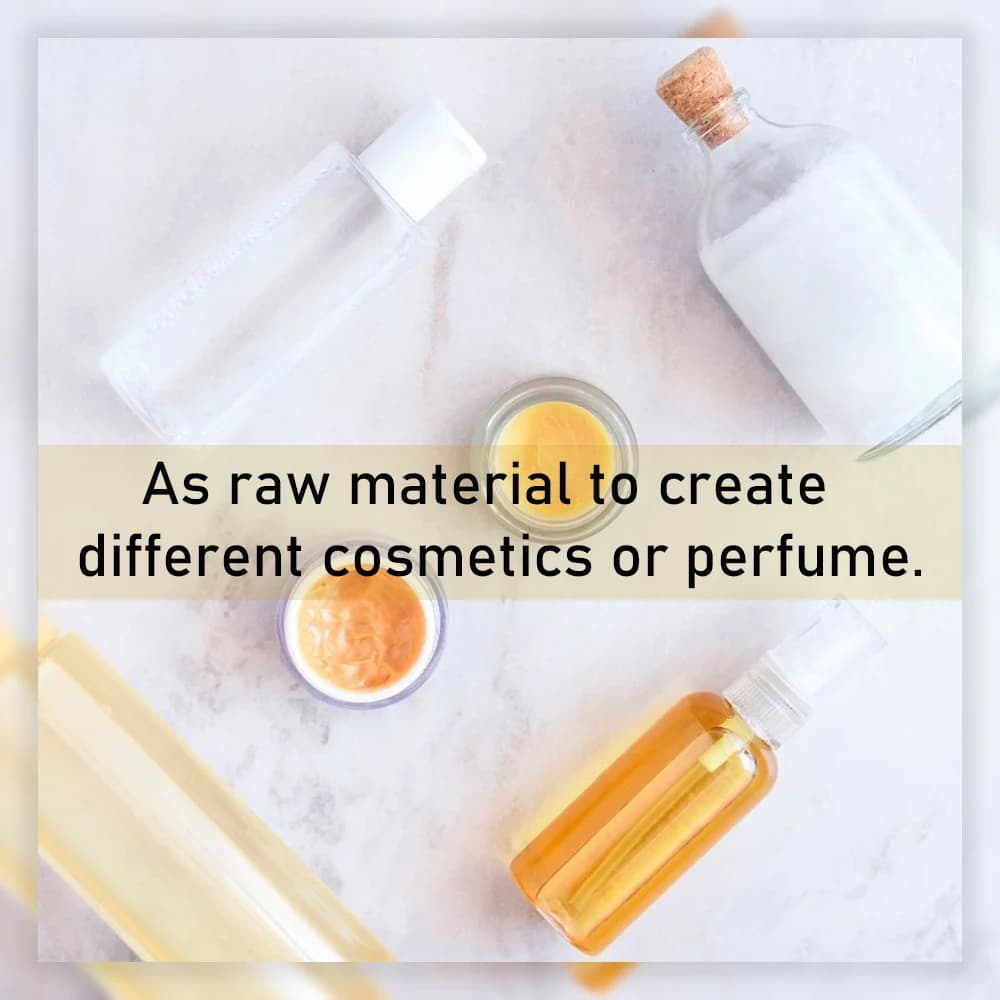 Huile essentielle naturelle Terpenes, 10-30ml, matière à saveur brute, pour bricolage d'articles différents pour notre corps ou la peau ou sain