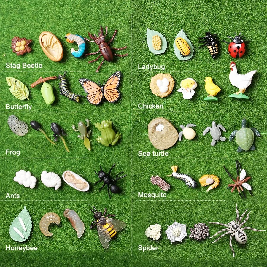 Figurines de créatures de la mer du cambodge en plastique, modèle Miniature, jouet, Figurines préhistoriques, Baculite, opabilia, Nautilus, Trilobita, Eurypterida