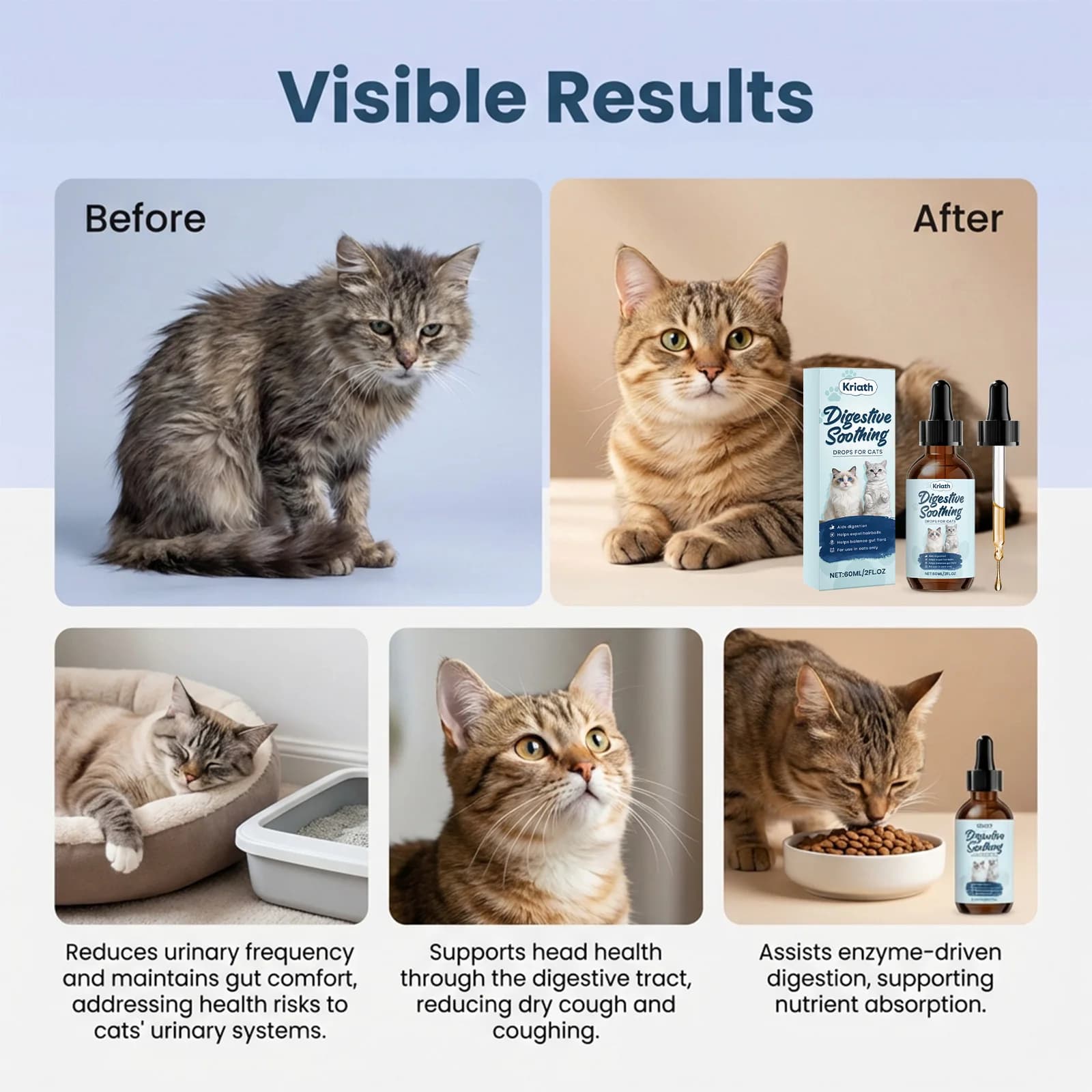 Gouttes apaisantes pour la digestion des chats, réduisent les urinations fréquentes, stimulent l'absorption des nutriments, pour les chats à stomac sensible, soin digestif liquide pour chats