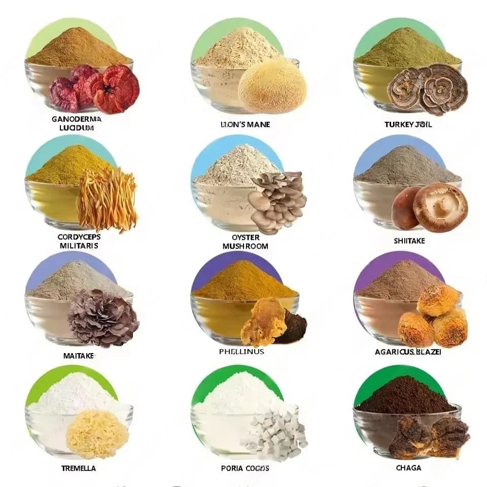 NO.058 Poudre Composée de Champignons Personnalisée DIY Faite Maison Prix Usine AliExpress Approvisionnement Exclusif Livraison Rapide Mondiale