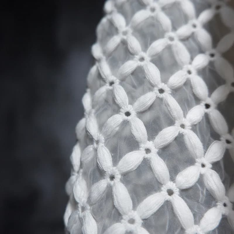 Organza Brodé Riz Grossier Mars