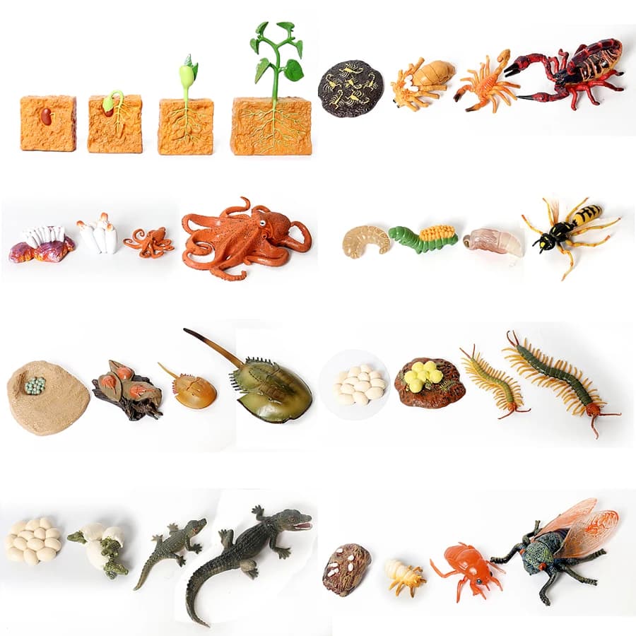 Figurines de créatures de la mer du cambodge en plastique, modèle Miniature, jouet, Figurines préhistoriques, Baculite, opabilia, Nautilus, Trilobita, Eurypterida