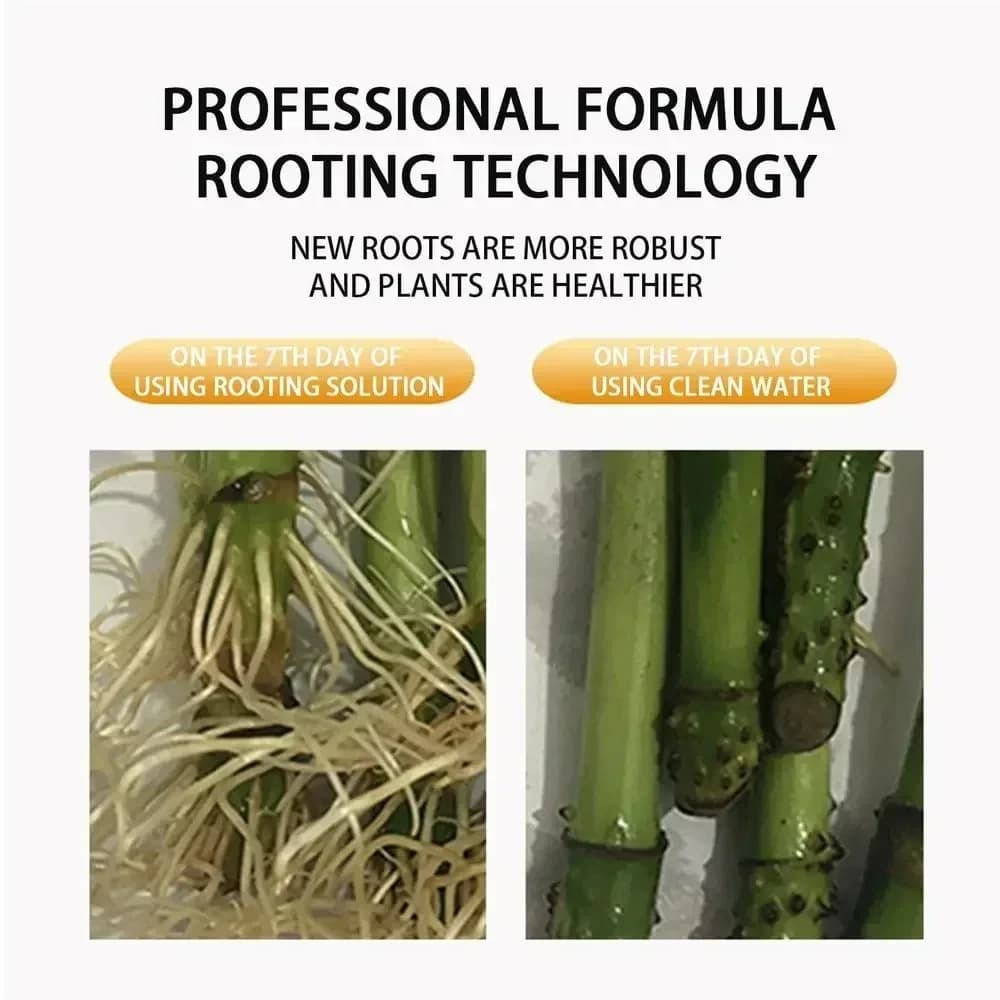 Stimulateur d'enracinement rapide pour plantes