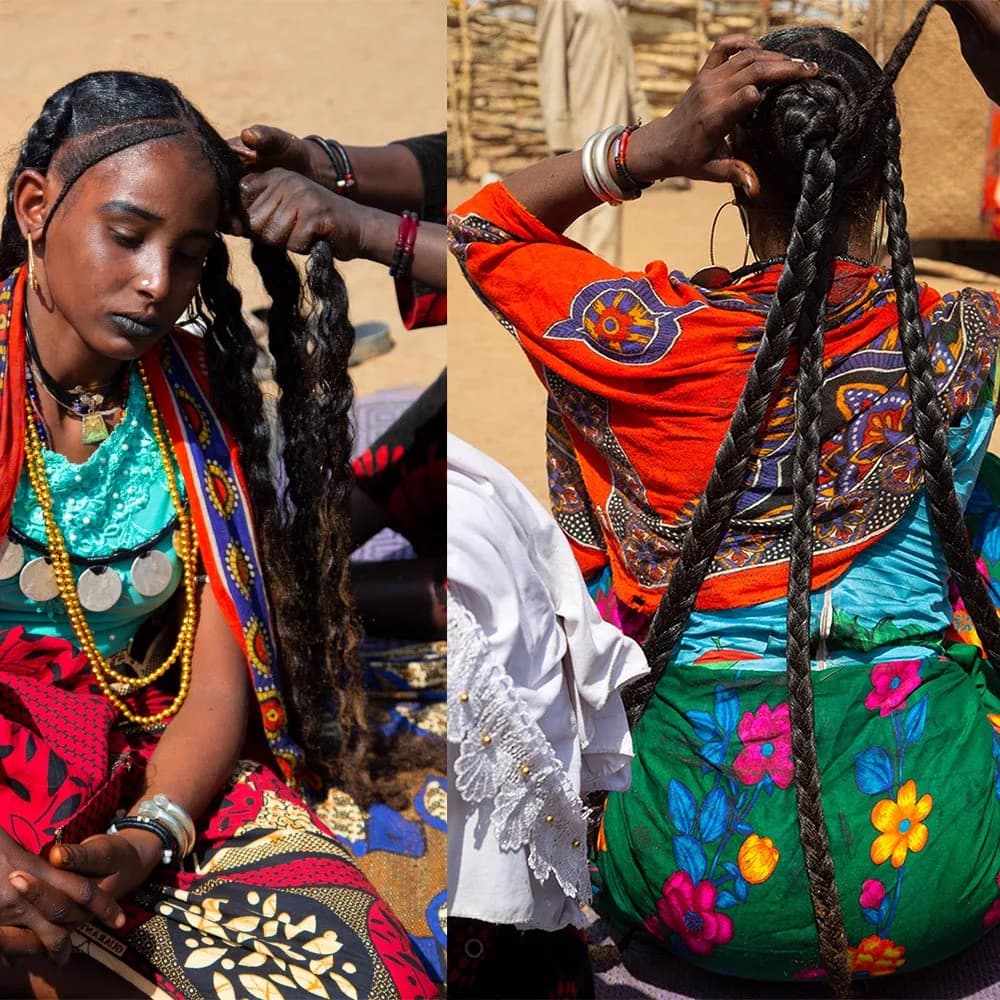 Huile de romarin d'Afrique du nord pour renforcer le cuir chevelu et les cheveux