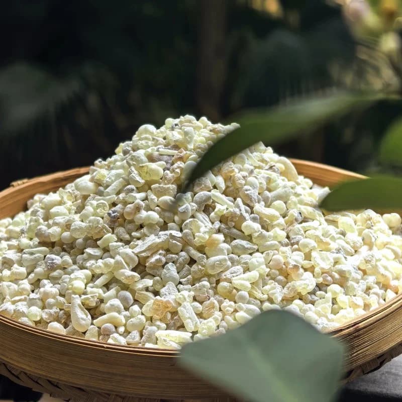 Résine d'encens Oman Hojari de qualité supérieure, grasse et aromatique pour la méditation, le sommeil profond, le parfum de la maison, l'encens de guérison spirituelle