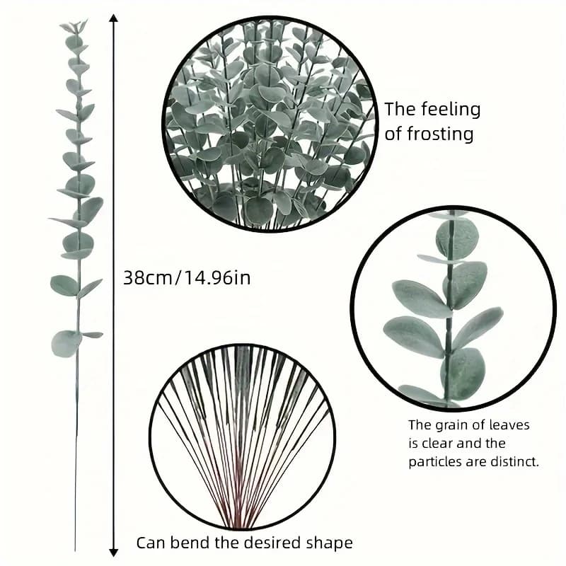 Feuilles d'eucalyptus vert foncé