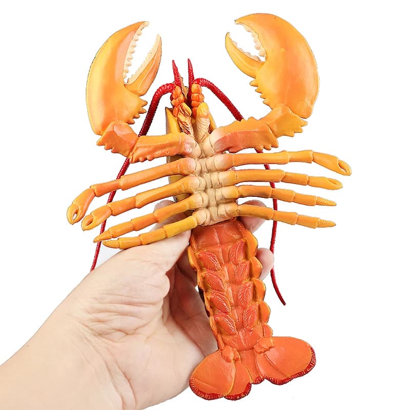# Figurine de homard Palinuridae Sea Life