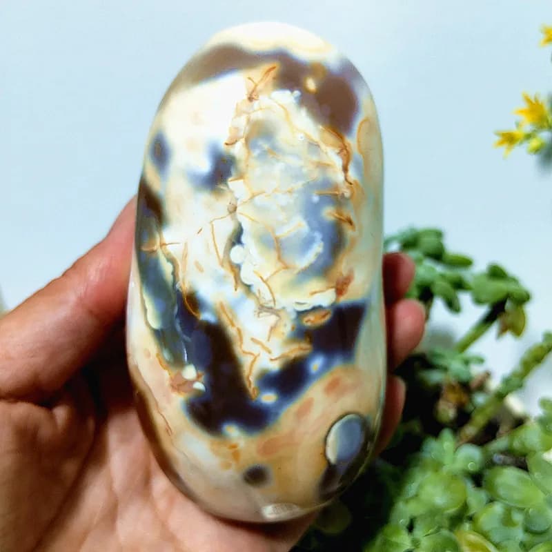 Pierres Naturelles Magnifiques Fleurs Agate Palm Herat