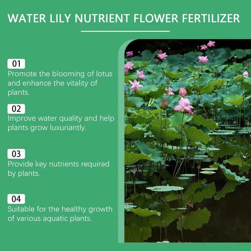 Bol de pollen de lotus favorise la croissance de la santé des plantes, étang, nénuphar, nutriments, favorise la floraison, engrais hydroponique de lotus