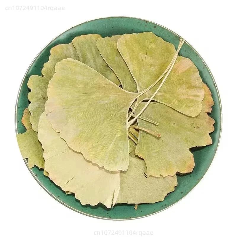 100/250/500g Feuilles de Ginkgo Biloba Séchées Naturelles Pour Remplissage de Vases, Artisanat, Arrangement Floral, Décoration de Café, Art DIY