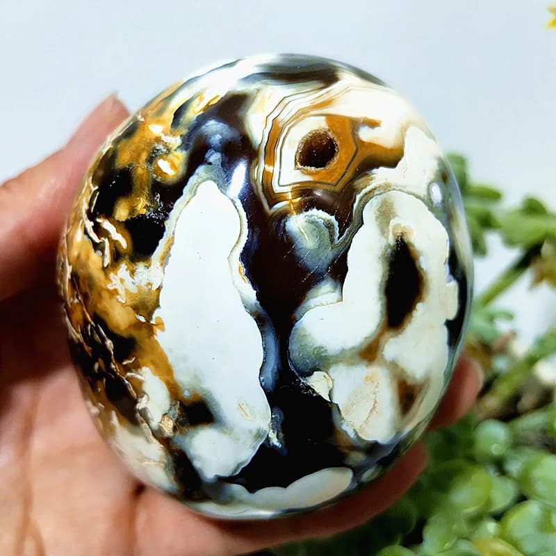 Pierres Naturelles Magnifiques Fleurs Agate Palm Herat