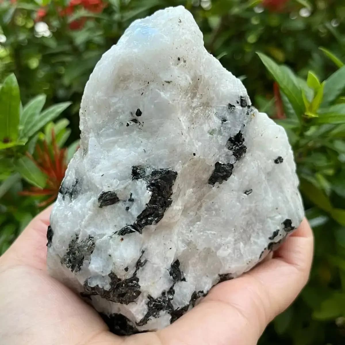 Pierre de lune arc-en-ciel naturelle, pierre brute, cristal de Quartz brut, minerai de pierre de lune arc-en-ciel, minéral, Reiki, guérison