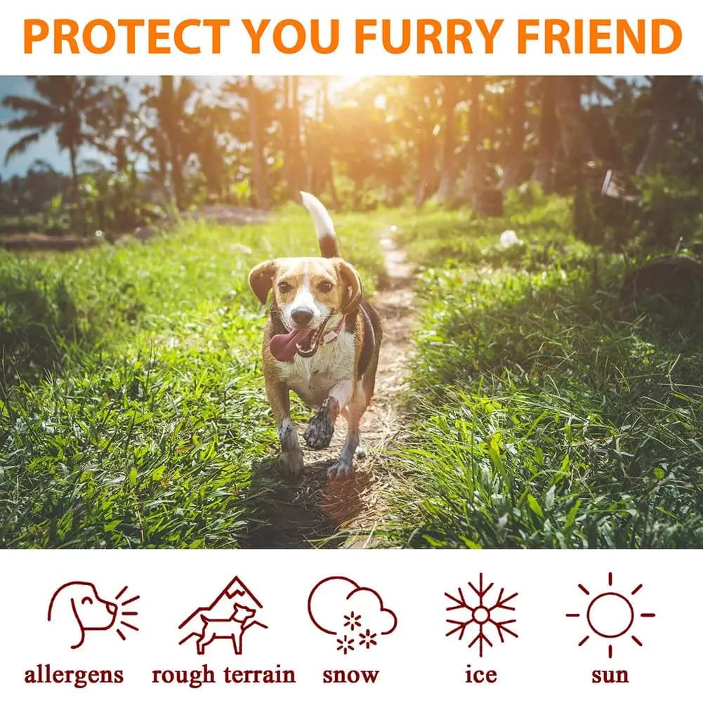Baume pour pattes d'animaux de compagnie, soin des pieds, semelles, coussinet de pied, huile de protection pour chats et chiens, crème hydratante pour pattes d'hiver, fournitures pour animaux de compa