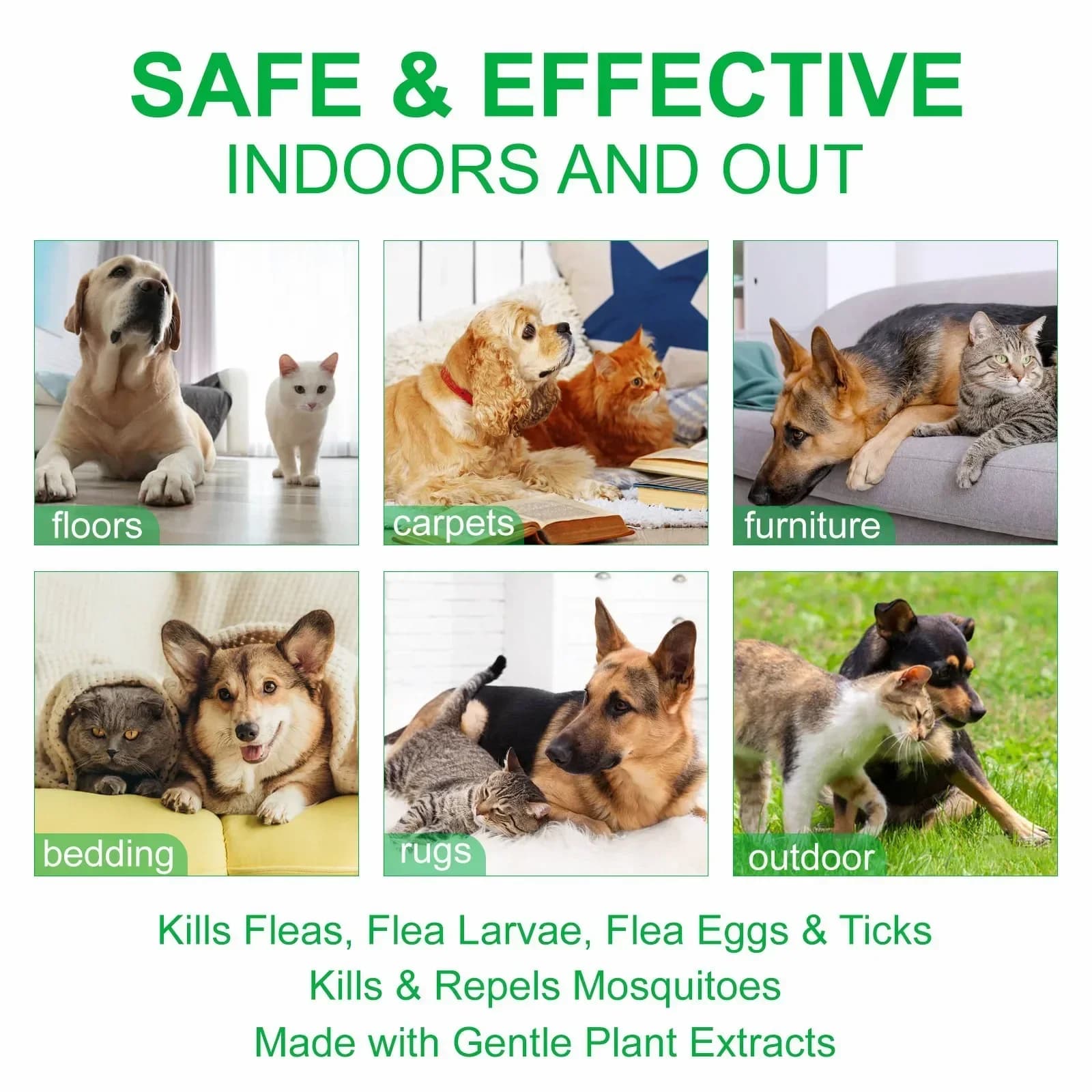 Spray anti-puces topiques et anti-tiques pour chiens et chats, parfum frais, naturel, huile de menthe poivrée et gros génol, soins pour animaux de compagnie, 100ml