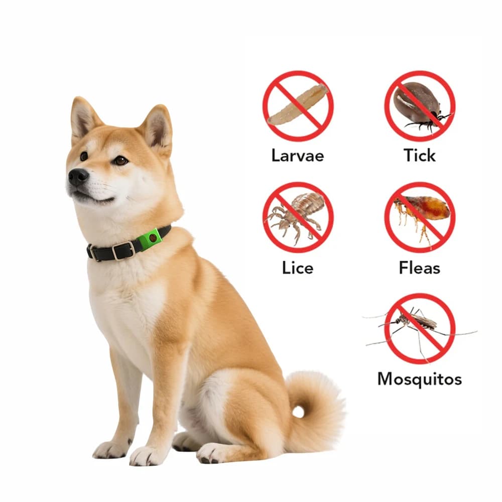 Huiles naturelles anti-puces et anti-touche pour collier de chiens et de chats, étiquettes portables pour animaux de compagnie avec huiles essentielles pour répuler les parasites en toute sécurité