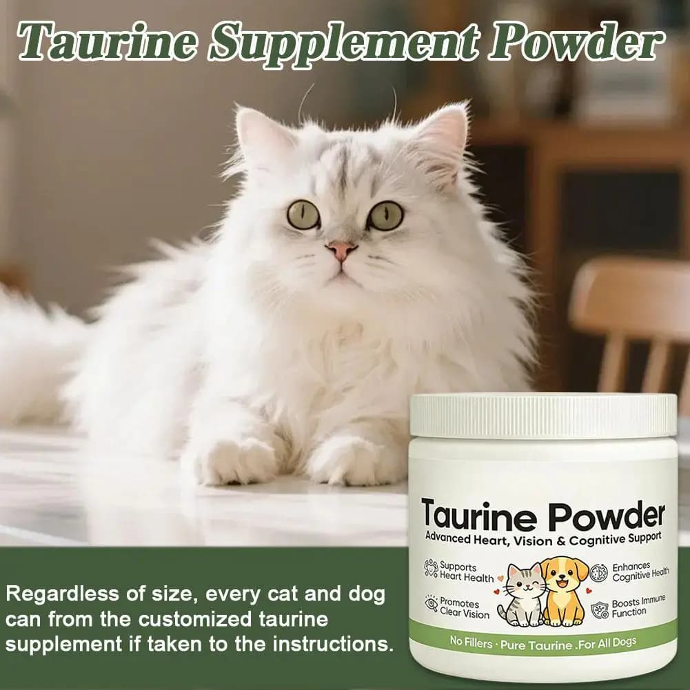 Poudre de supplément de taurine 30g pour chat et chien – Soutient la santé cardiaque, la vision et la cognition – Acide aminé essentiel – Complément nutritionnel pour animaux de compagnie