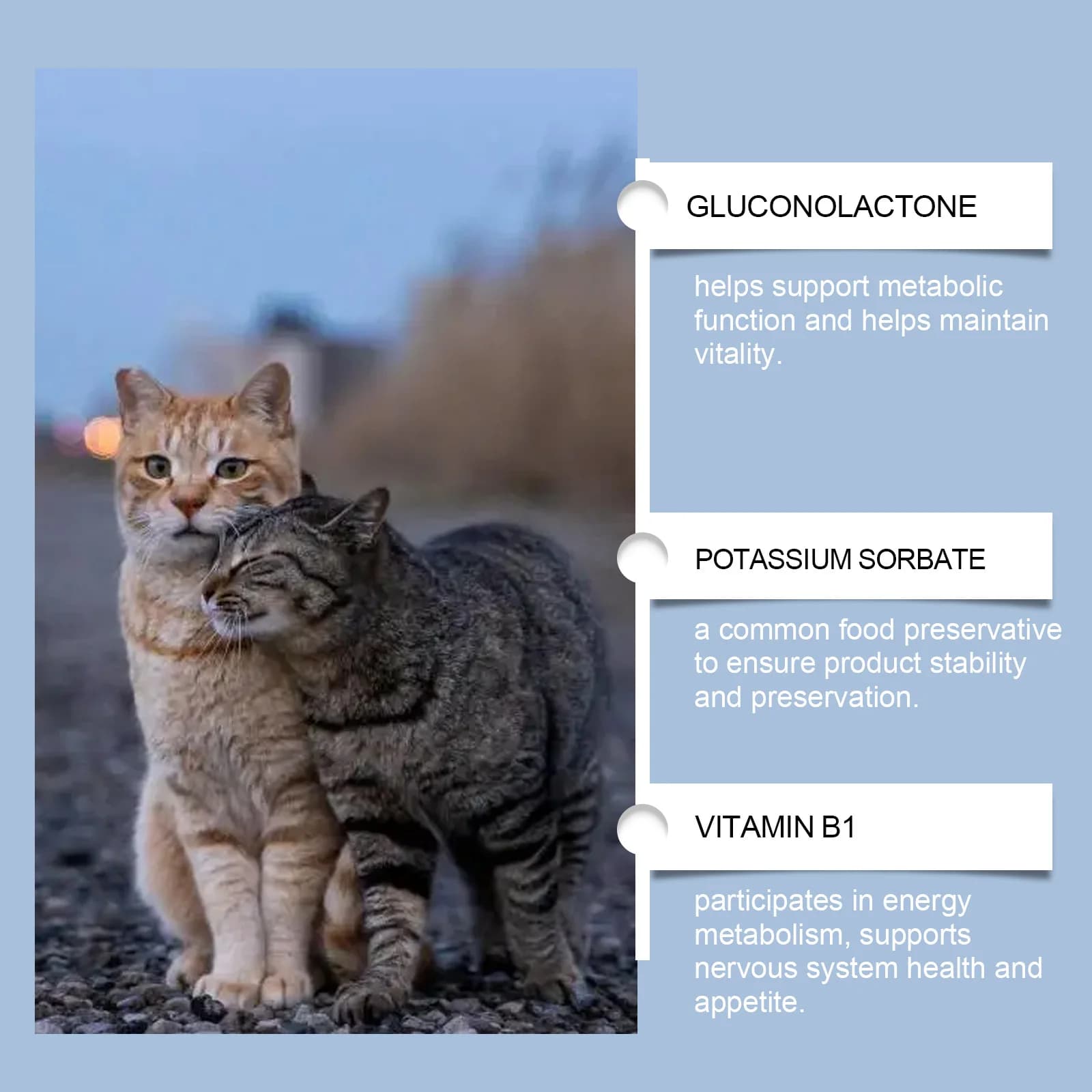 Yegbong 50 ml supplément vitaminique pour chat soins quotidiens pour aider à la nutrition