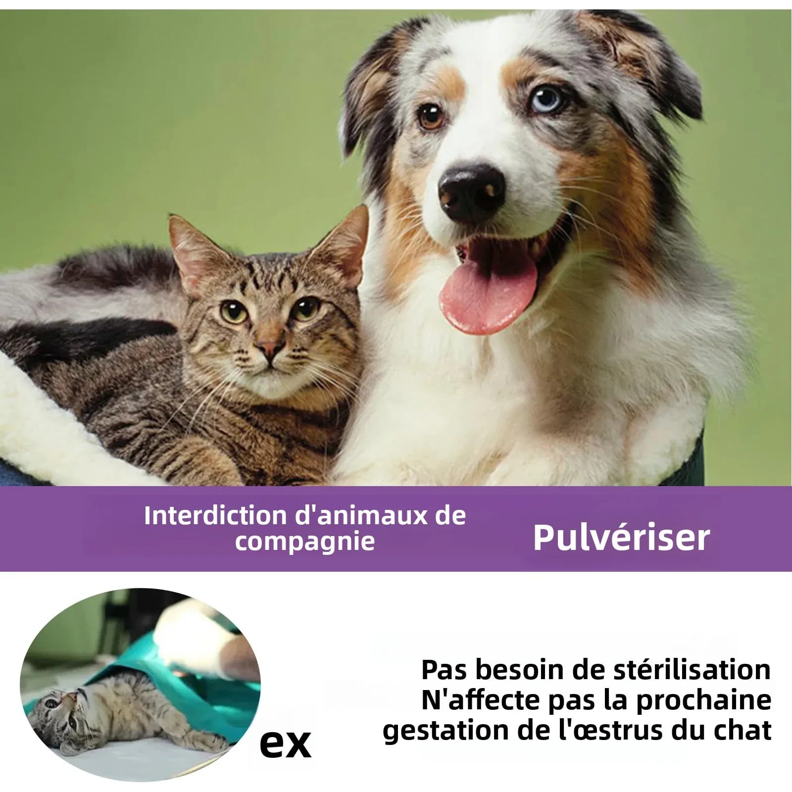 Diffuseur de phéromone en Spray apaisant pour animaux de compagnie