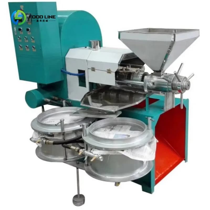 Presse à huile industrielle personnalisée pour huiles végétales (arachide, noix de coco, olive), équipement de fabrication et d'extraction d'huile comestible à froid et à chaud